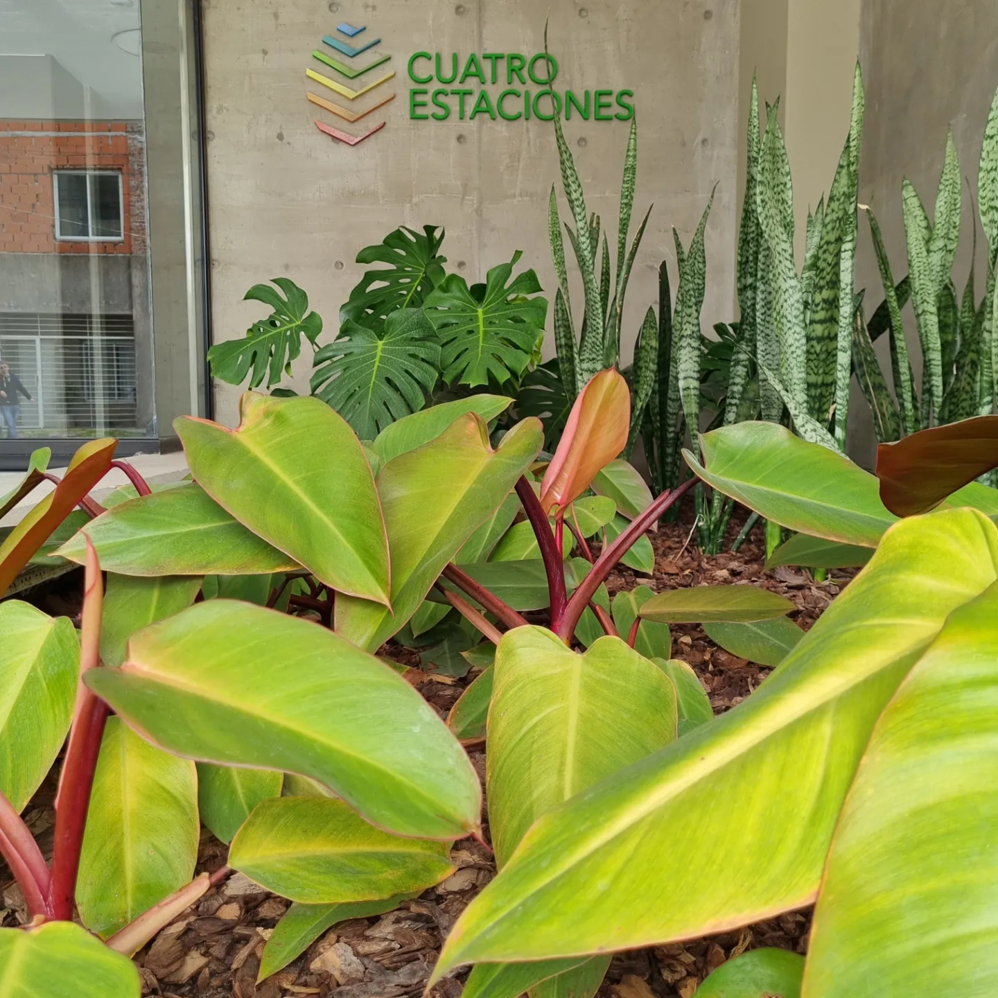 Proyecto Espacios Verdes